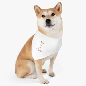 Show Me the Meats Pet Bandana Collar