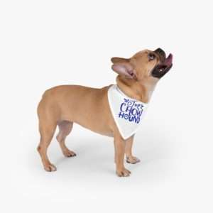 Funny Dog Bandana - Top Chow Hound
