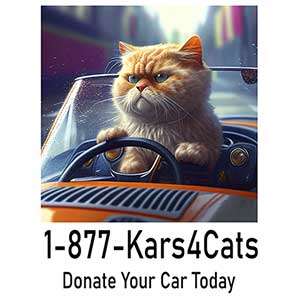 1-877-Kars4Cats. Donate Your Car Today.