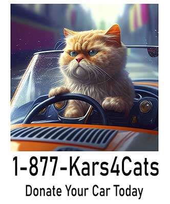 1-877-Kars4Cats Donate Your Car Today