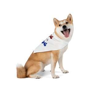 Funny Dog Bandana - Dog on a Jog